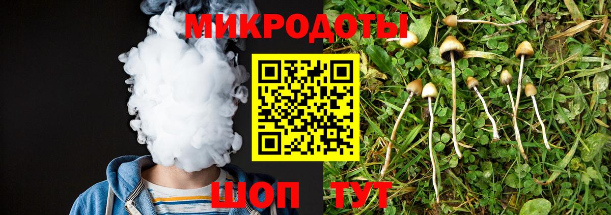 Псилоцибиновые грибы мухоморы  Псилоцибиновые грибы GOLDEN TEACHER  Нерюнгри  Вход с VPN 